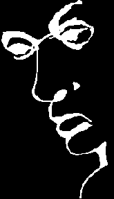 face or the word liar